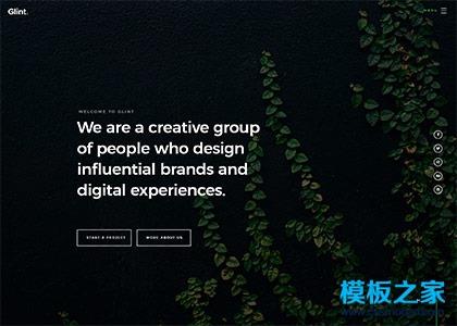 全屏大气css3动画响应式模板图2