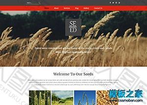 农业农产品企业网站模板