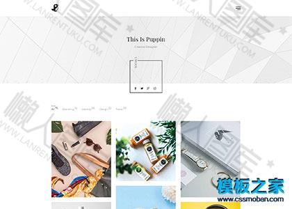 极简设计师作品展示网站模板图2