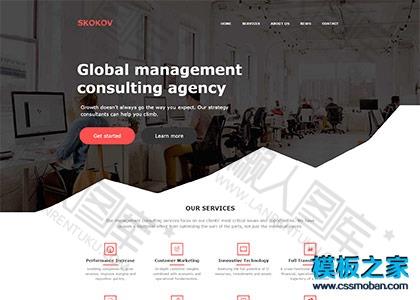 金融保险公司网站模板图2