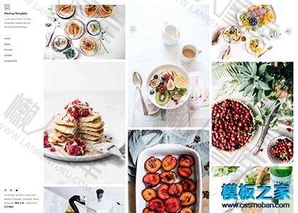 美食摄影工作室html5模板图2