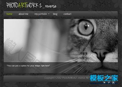 黑色html5个人相册模板图2