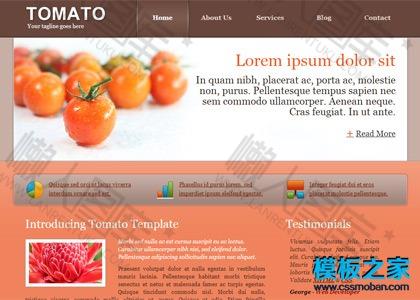 西红柿食品相关网站模板图2