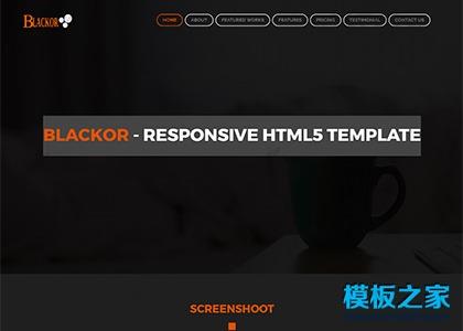 it科技响应式bootstrap模板图2