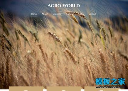 农业稻香农产品响应式网站模板图2