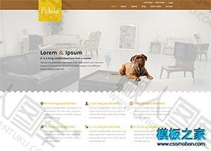 宠物医院企业网站模板