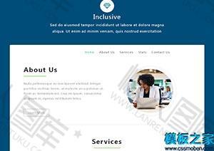 统计师商业服务网站模板