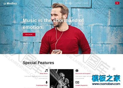 音乐乐队演出票务活动网站模板图2