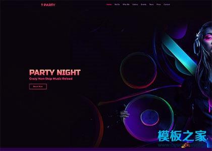 炫彩音乐party响应式网站模板图2