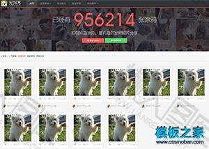 宠物秀主页html5模板