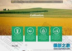 农业集团CSS3动画网站模板