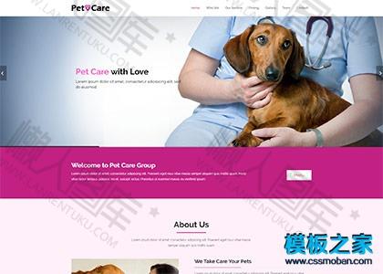 宠物医院响应式bootstrap模板图2