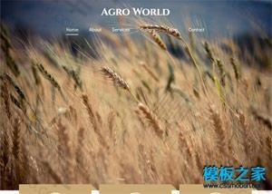 农业稻香农产品响应式网站模板