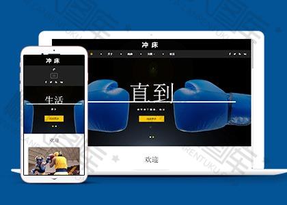 站立式格斗搏击网站模板图2