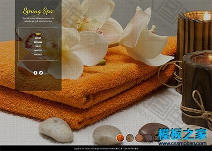 美容护肤spa网站模板图2