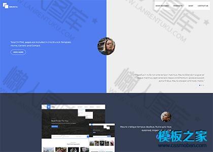 蓝色极简开发者官网模板图2