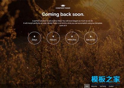 响应式邮件订阅网站模板图2