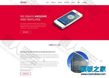 IT互联网公司网站模板图2