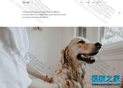 个人博客宽屏bootstrap模板图2