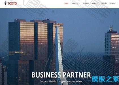 高楼企业网站模板图2