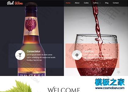 黑色清晰红酒庄园bootstrap模板图2