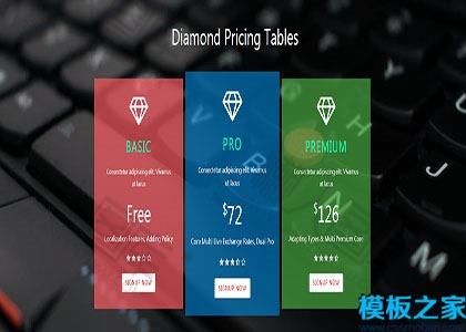 价格表单页响应式网站模板图2
