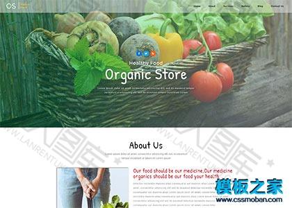 蔬果种植基地企业官网模板图2