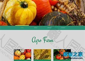 农业蔬菜水果网站模板