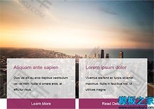 紫色酷炫单页网站模板