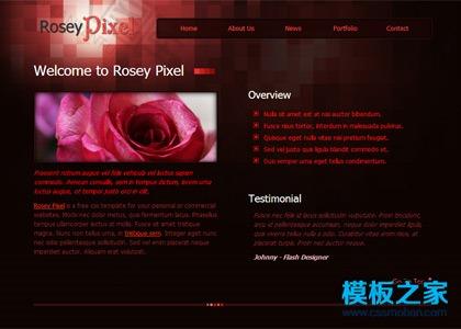 个人迷你单页网站模板图2