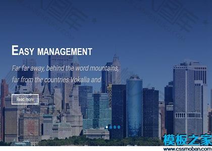 企业管理布局网站模板图2