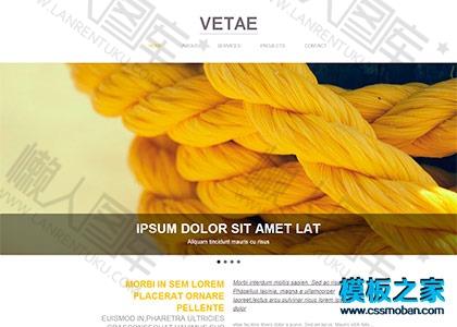 css3动画网站模板图2