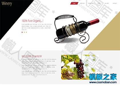红酒专卖店宽屏设计公司网页模板图2