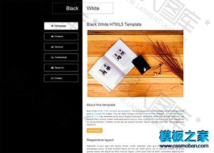 个性二栏html5博客模板图2