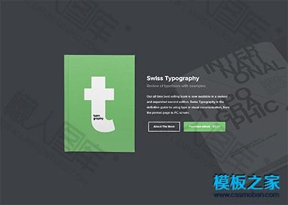 电子书ebook宣传官网模板图2