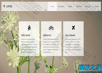 杏色个人博客web网站模板图2