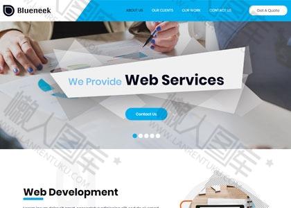 Web开发服务公司网页模板图2
