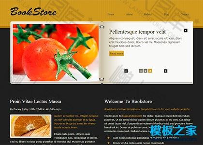 图书商城企业整站模板图2