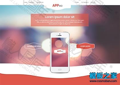 app应用软件开发网站模板图2