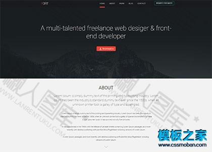 web desiger设计师作品展示模板图2