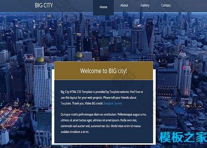 城市主题响应式网站模板图2