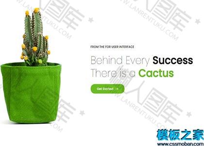 植物盆栽协会网站模板图2