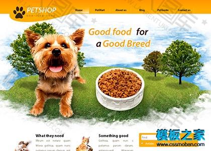 狗狗商城企业CSS模板图2