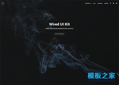 网络科技公司网站设计图2