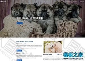 狗狗宠物医院html静态网站模板