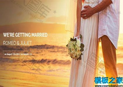 夕阳海边摄影网站模板图2