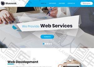 Web开发服务公司网页模板