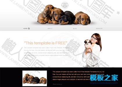 漂亮精致宠物狗网页模板图2