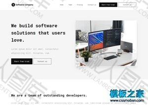 software软件开发公司网站模板