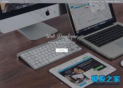 web开发公司官网模板图2